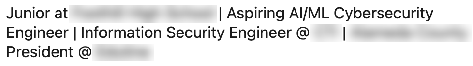 Public high school student LinkedIn headline listing several unrelated roles